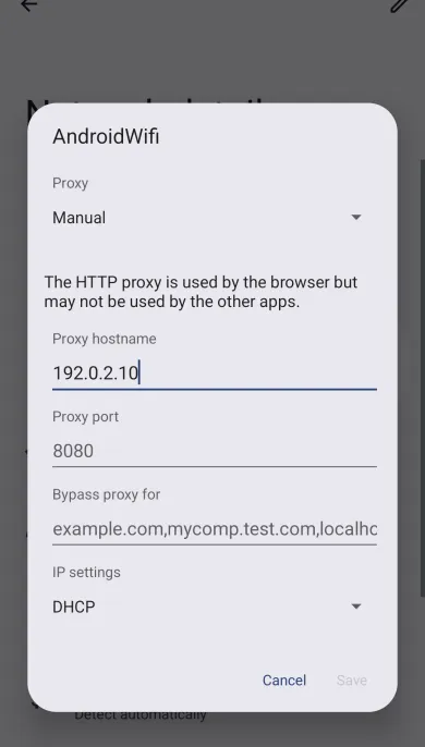 Manual: hostname, port и подсказка что HTTP-прокси читает браузер