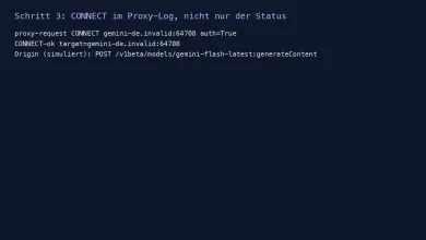 CONNECT-ok und POST auf generateContent im simulierten Origin