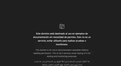Página de example.com cargada en Firefox a través de un proxy SOCKS5 local de prueba
