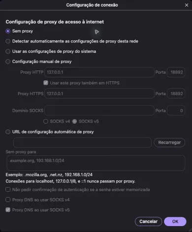 Janela Configuração de conexão com Sem proxy selecionado