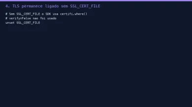 TLS sem SSL_CERT_FILE, verificação permanece