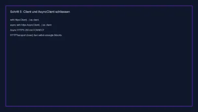 AsyncClient mit await, HTTPS 200 und CONNECT im Proxy-Log