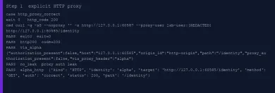 Executed explicit HTTP proxy check, exit 0 and HTTP 200 through alpha