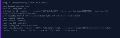 Executed delayed-body transfer timeout, HTTP 200 then curl exit 28