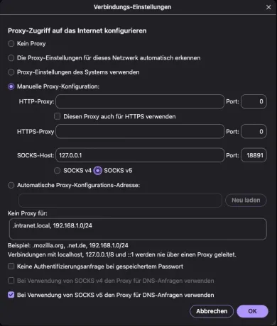 SOCKS-Host mit SOCKS v5 und Haken für DNS-Anfragen über den Proxy