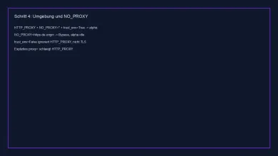 Umgebung: HTTP_PROXY trifft alpha, NO_PROXY umgeht, trust_env=False geht direkt
