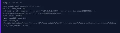 Executed -U proxy auth beside -u origin auth, origin authorized without proxy header leak