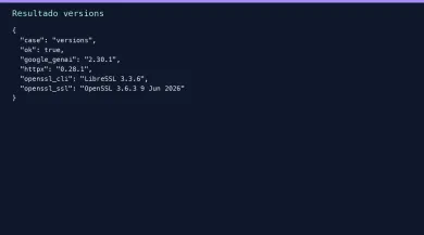 Caso versions: google-genai 2.30.1, httpx 0.28.1, LibreSSL 3.3.6