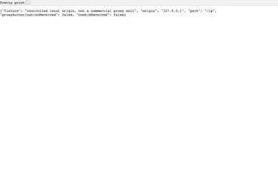 JSON response from a local test page opened in a direct Playwright context, showing origin 127.0.0.1