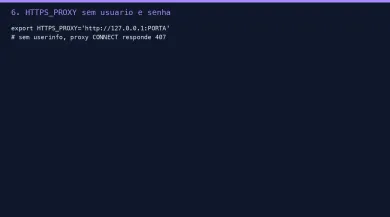 HTTPS_PROXY sem userinfo