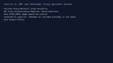 407 am Proxy und gaierror ohne HTTPS_PROXY, jeweils ohne Google-Aufruf