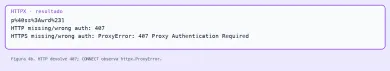 407 em HTTP e ProxyError em CONNECT