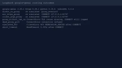 Compact executed result table from the loopback google-genai check