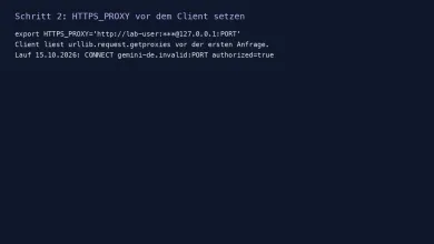 HTTPS_PROXY vor dem Client, CONNECT im Loopback-Log autorisiert