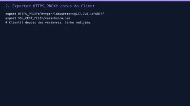 Export de HTTPS_PROXY e SSL_CERT_FILE antes do Client