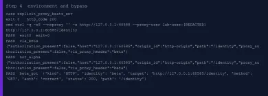 Executed explicit -x beta beating environment http_proxy alpha