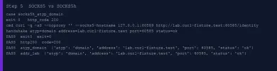 Executed SOCKS5h handshake with ATYP domain for the lab hostname
