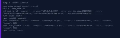 Executed HTTPS CONNECT through an HTTP proxy with a trusted lab CA
