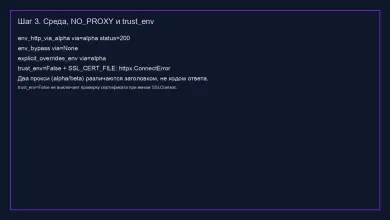 Среда, обход и trust_env