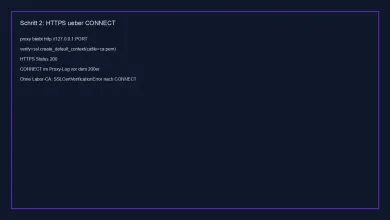 Ausgeführter CONNECT-Lauf, HTTPS 200 nach Tunnel und TLS-Prüfung gegen die Origin-CA