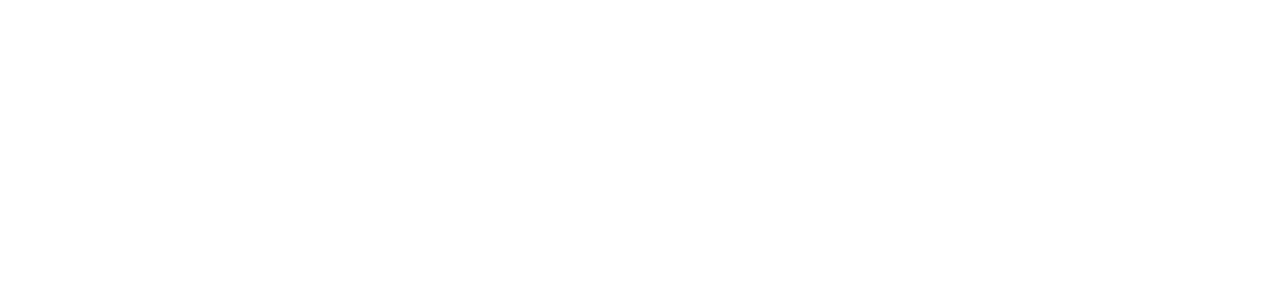 ProxyElite